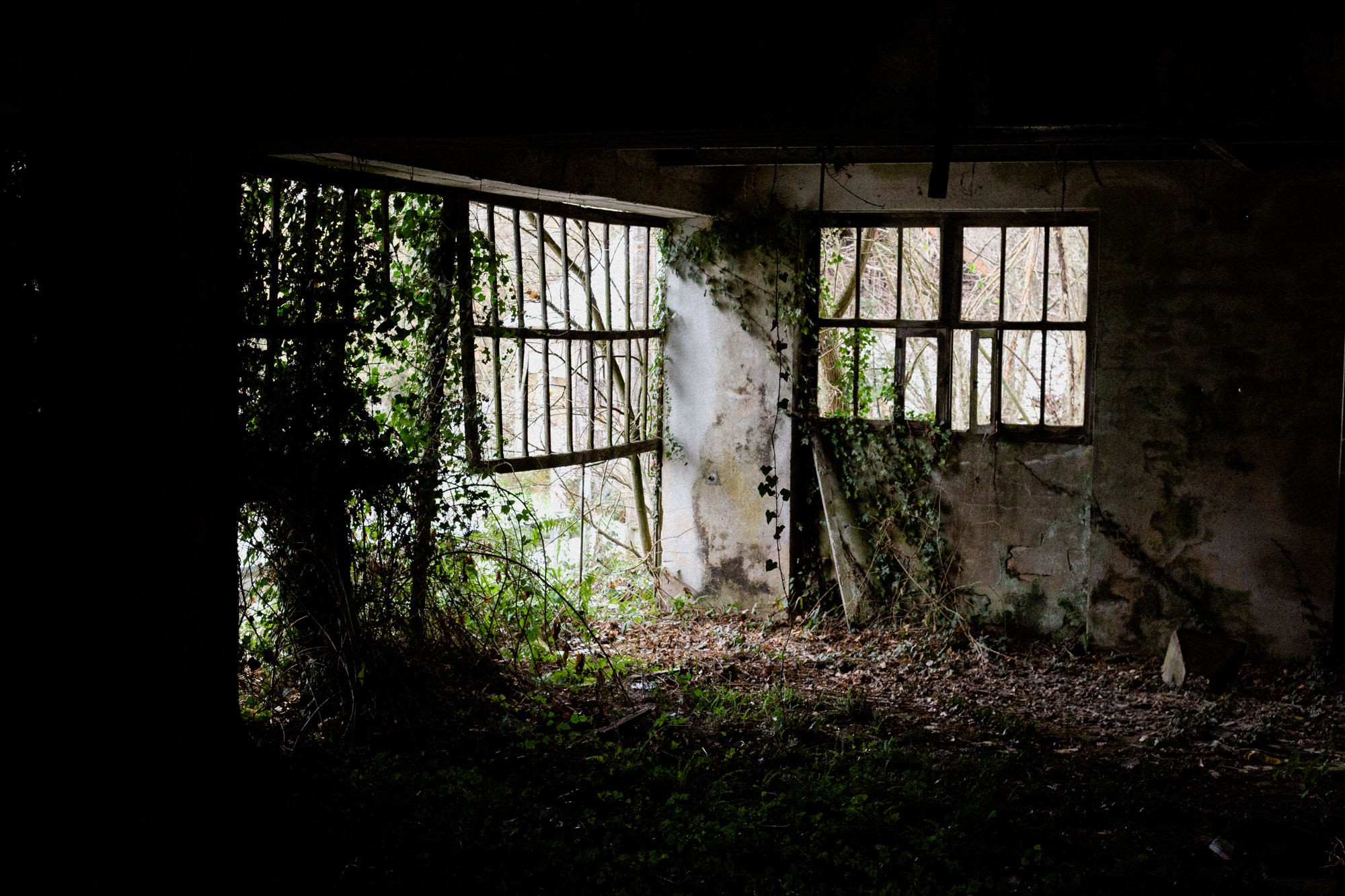 Le visage du Mazet qui tient une fourchette